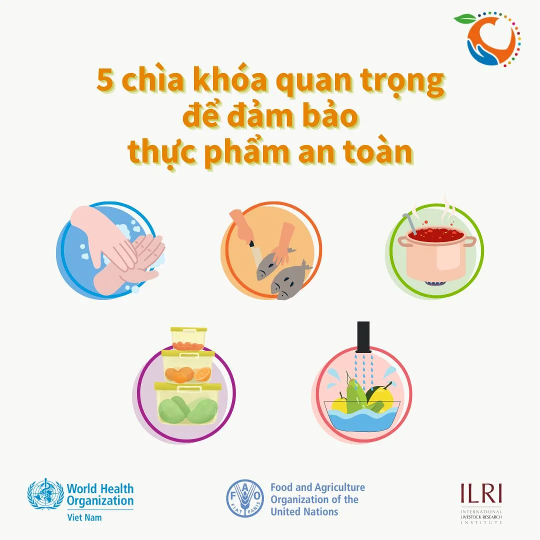 Infographic: 5 chìa khóa quan trọng để đảm bảo thực phẩm an toàn