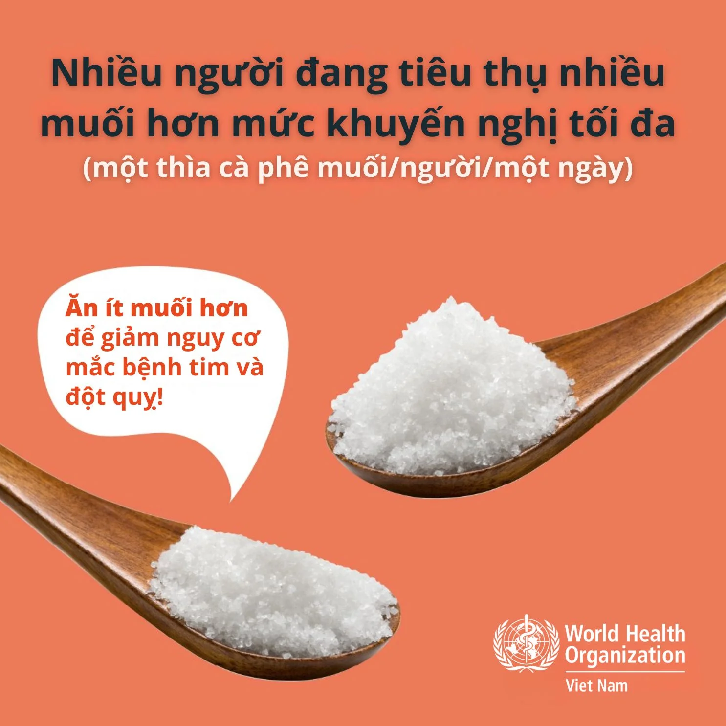 Infographic: Nhiều người đang tiêu thụ nhiều muối hơn mức khuyến nghị tối đa