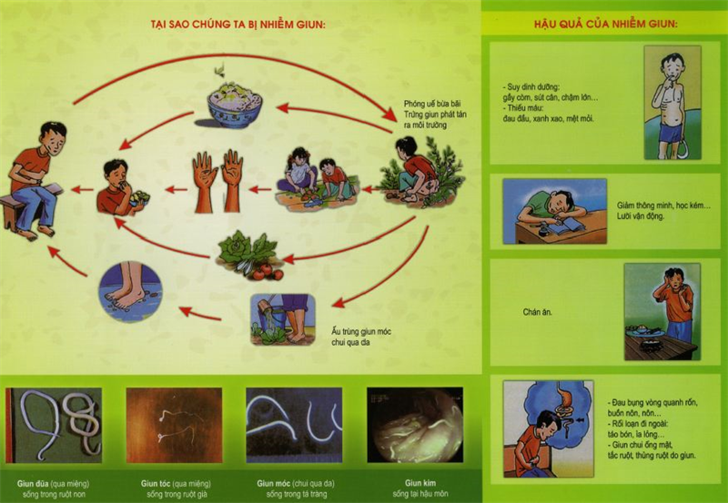 Tờ rơi Phòng chống nhiễm giun
