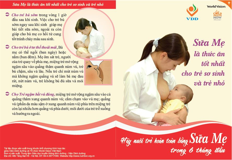 Tờ rơi Sữa mẹ là thức ăn tốt nhất cho trẻ sơ sinh và trẻ nhỏ